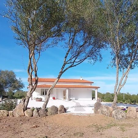 Casa Vacanze Olbia - Alebea - Exteriér fotografie
