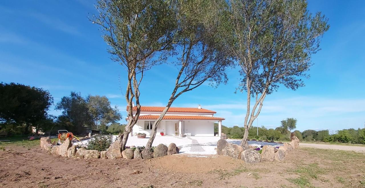 Casa Vacanze Olbia - Alebea - Exteriér fotografie
