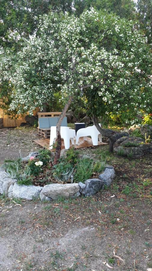 Casa Vacanze Olbia - Alebea - Exteriér fotografie