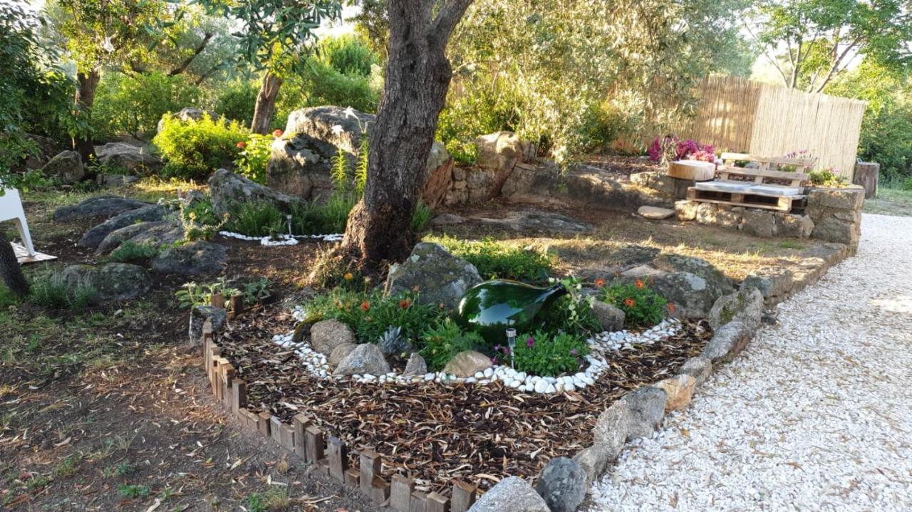 Casa Vacanze Olbia - Alebea - Exteriér fotografie